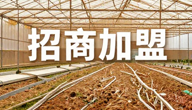招商加盟中的信息对接难题与解决方案